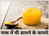 Putting Ghee In Nose Benefits: