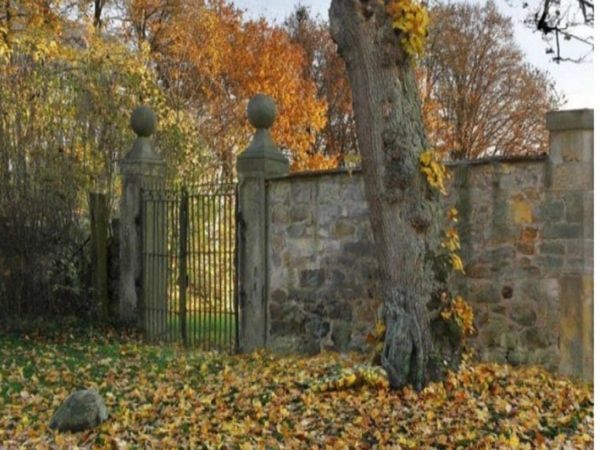 Woman Hidden In Misleading Photo Can You Find It In Viral Photo