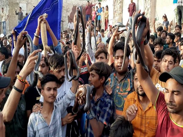 Rajasthan Snake Dance 