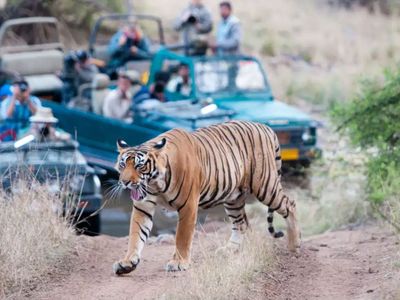 Ranthambore Ranthambore