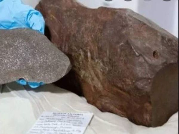 Australian Man brings gold nugget But he discover rare meteorite Know Shocking truth