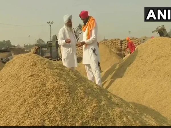 Record Food Production