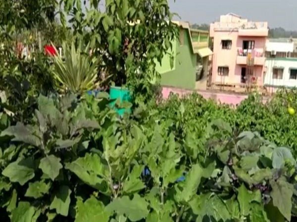 Roof Garden in Patna