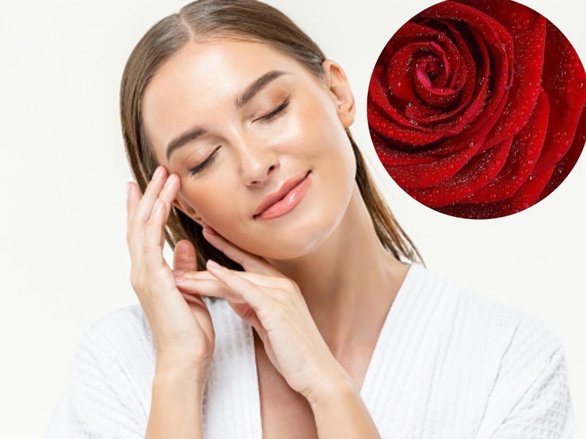 Benefits of Rose Petals rose petal face pack benefits for skin गुलाब