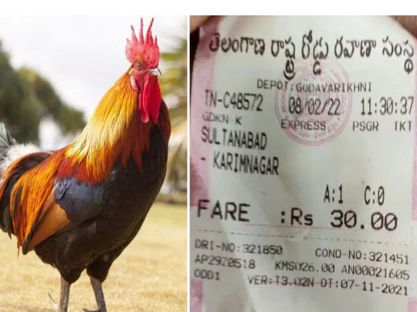 Roster Travelling in Bus conductor charge 30 rupees ticket fare in telangana video goes viral