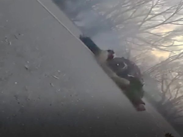 'Dad please don't die': Harrowing video shows Ukrainian son pleading as Russians shoot father