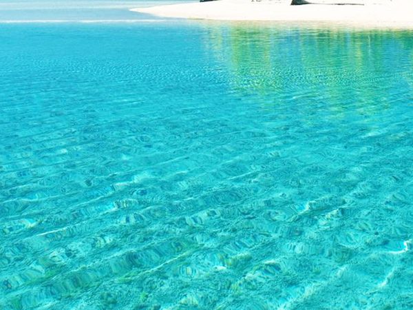 Approx 95 nudists test positive for Covid-19 at famous French nudist resort naturist  