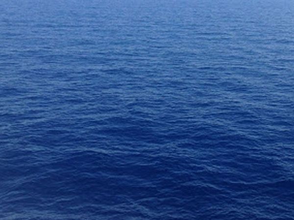 history of august 24 The first ship fleet of East India reached the coast of Surat