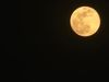 SUPERMOON PICS