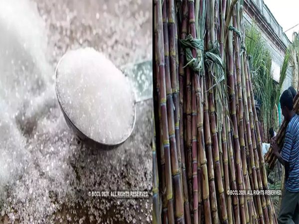 Sugar industry struggling with cash crisis, sugarcane farmers' dues not paid, ISMA