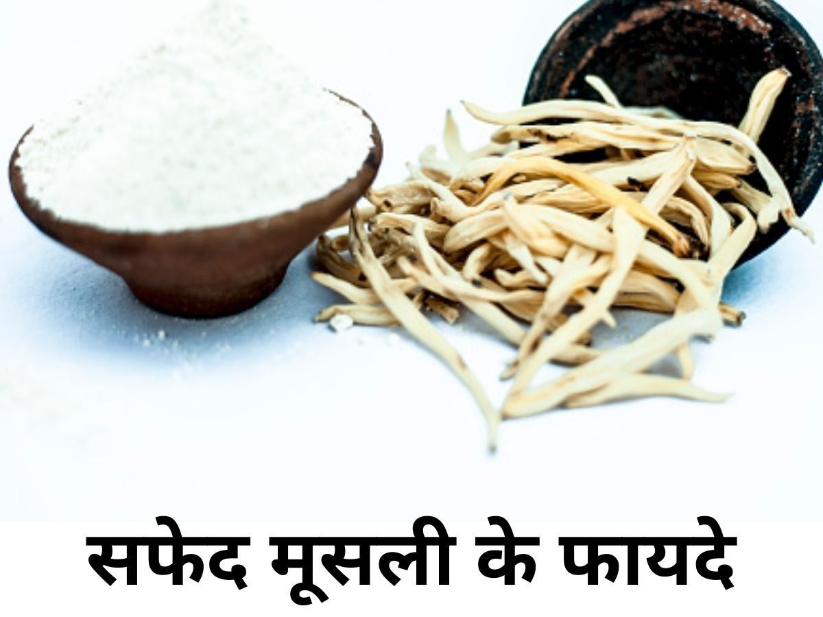 Safed Musli Benefits benefits of safed musli in summer डायबिटीज से