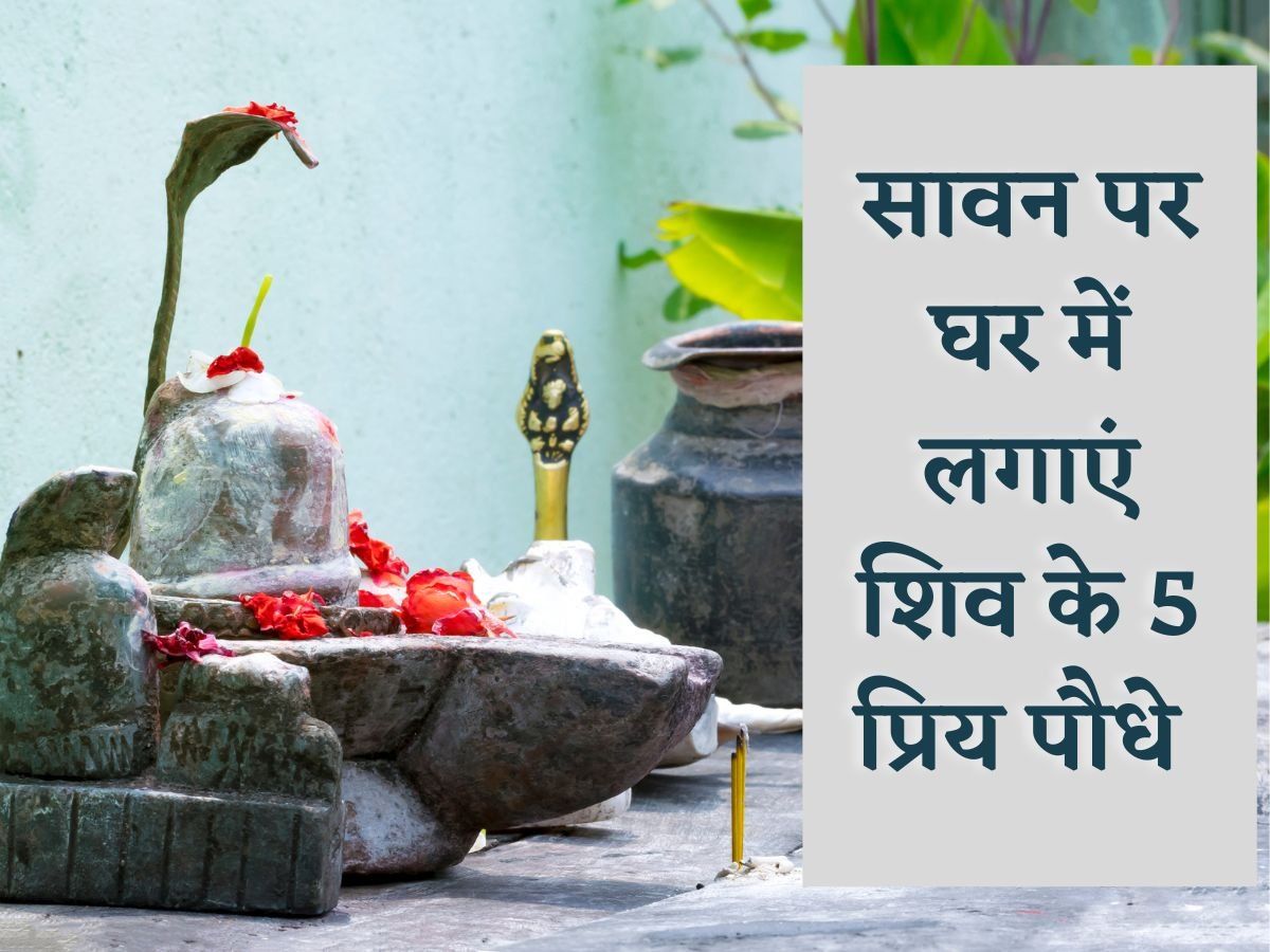 Sawan 2022: भगवान शिव की पाना चाहते हैं विशेष कृपा, तो सावन के महीने में घर पर जरूर लगाएं ये पौधे