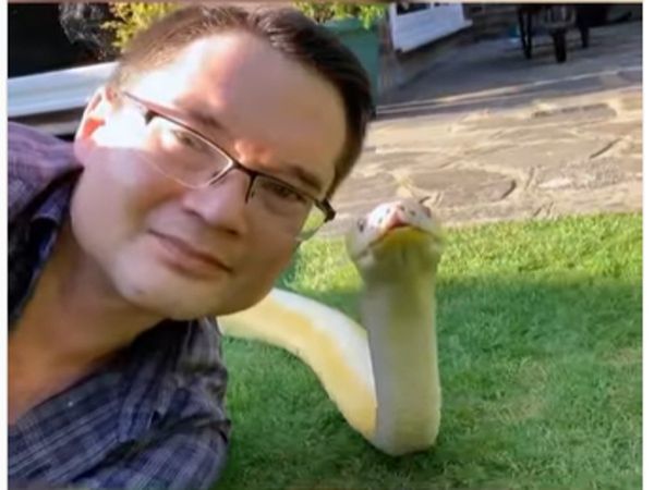 Man Take Selfie With Snake Then What Happened Watch Viral Video