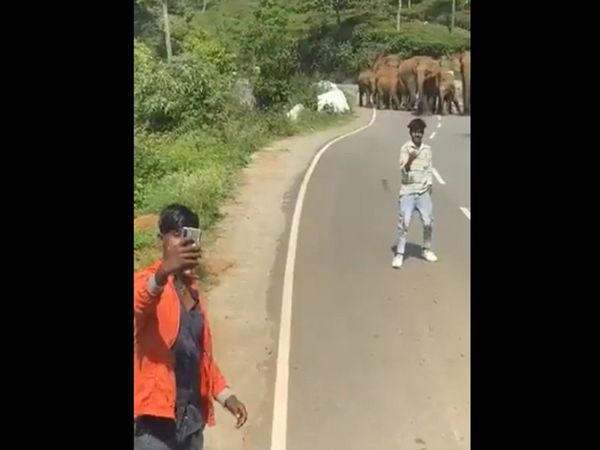 Youth taking Selfie with elephant Then What Happened Watch Viral Video