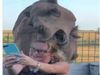 Funny Video Woman Click Selfie With Camel Then What Happened Watch Viral Video