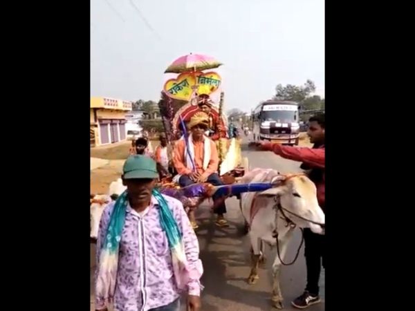 Wedding Video groom went out to get married by bullock cart Viral Video