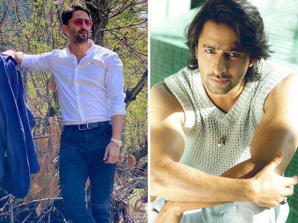 shaheer sheikh net worth and property, shaheer sheikh earns in crores