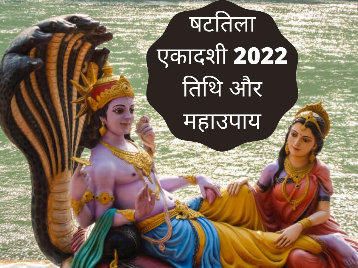 Shattila Ekadashi 2022 Date Puja Vidhi Puja Samagri Upay And Totke In Hindi See Here 6065