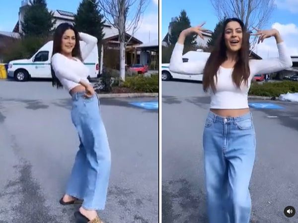 Shehnaaz Gill Flaunts Sexy Moves on new Song Check Dance Video 