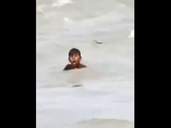 boy was surrounded by crocodiles in the river then What Happened Watch Shocking Video