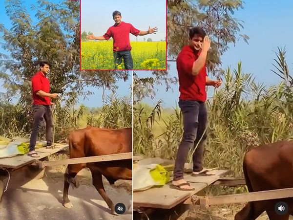 Sidharth Shukla Shehnaaz Gill Spending time In Punjab Bigg Boss 13 winner Bullock cart Ride