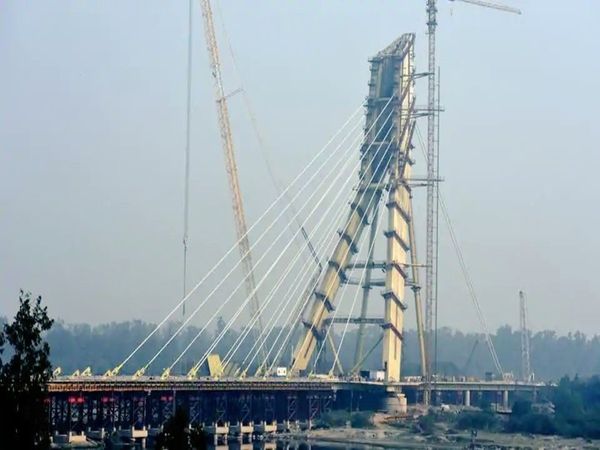 Signature Bridge Suicide News