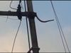 VIDEO: बिजली के खंभे पर चढ़ा 10 फीट लंबा सांप, हुआ धमाका और..