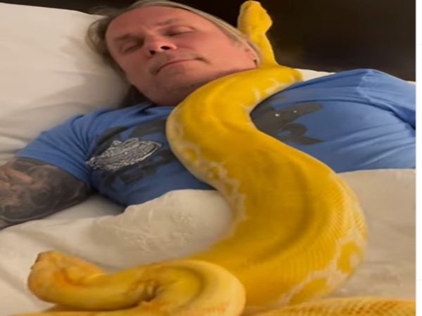 Man Sleeping With Two Giant python Watch Shocking Video