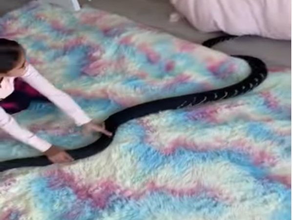 Little Girl Play With Dangerous Snake Watch Shocking Video