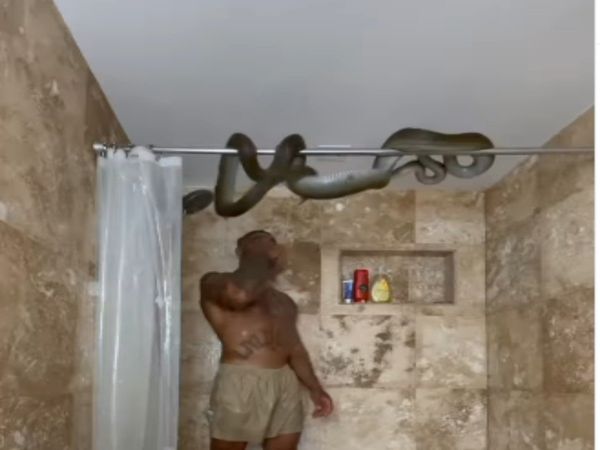 Snake Video Snake Attack on Then What Happened Watch Viral Video