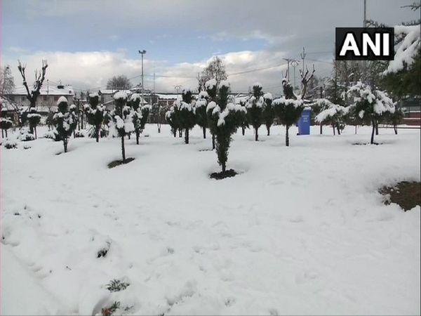 Jammu and Kashmir Temperature drops in Srinagar as the city gets covered in a blanket of snow