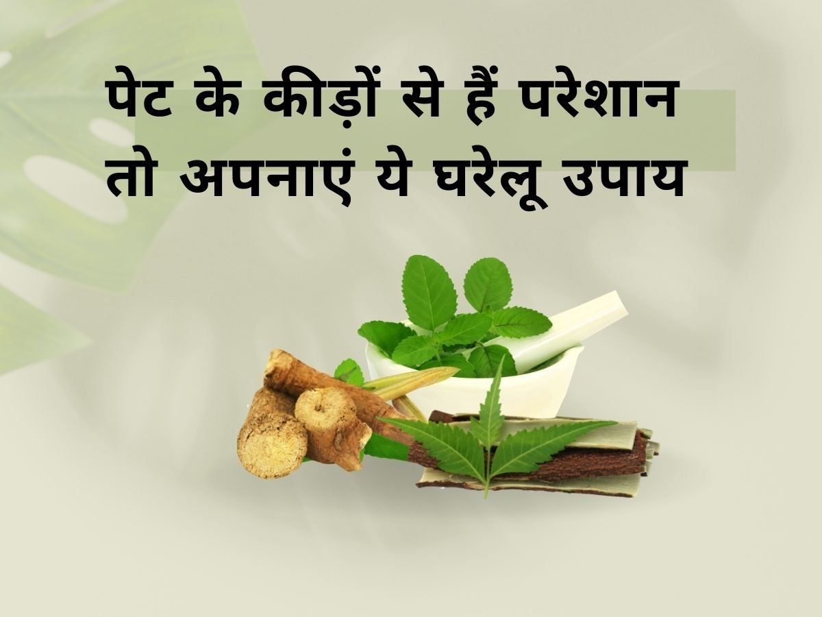 Stomach Worms: क्यों होते हैं पेट में कीड़े, जानें लक्षण और अपनाएं ये घरेलू नुस्खे, तुरंत मिलेगा छुटकारा