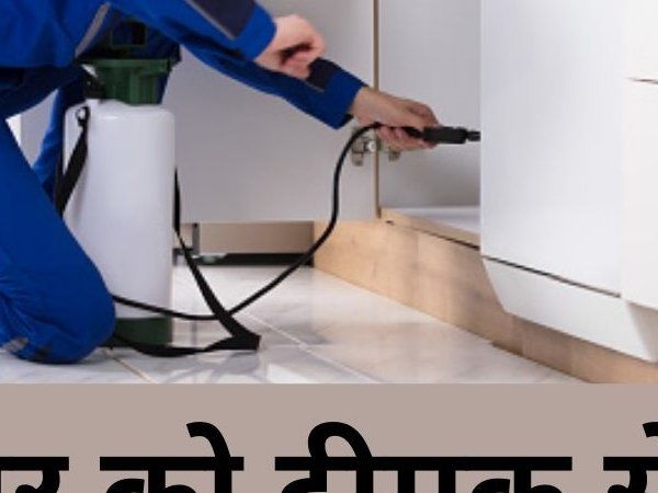 Control Termite Remedies