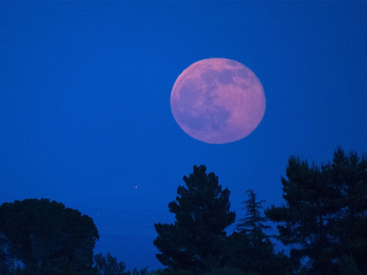 Full moon june 2021 strawberry moon - lomiinnovation