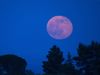 strawberry moon, strawberry moon 2021, strawberry moon in india 2021, strawberry moon india, straberry moon 2021 time,
