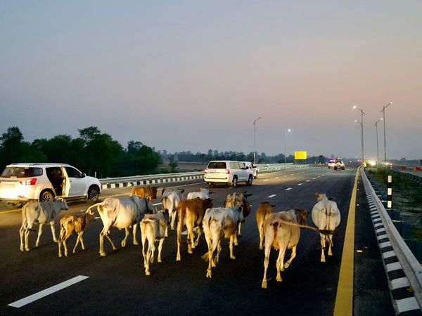Akhilesh Yadav tweeted with the photo and wrote – What is the meaning of Expressway? Yogi's minister Nand Gopal gave a befitting reply