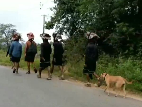 Sabarimala Stray Dog Pilgrimage