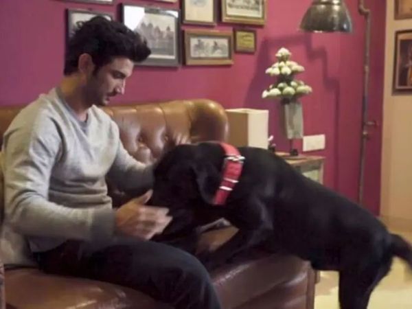 Sushant Singh Rajput Fudge