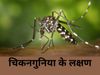 Symptoms of Chikungunya