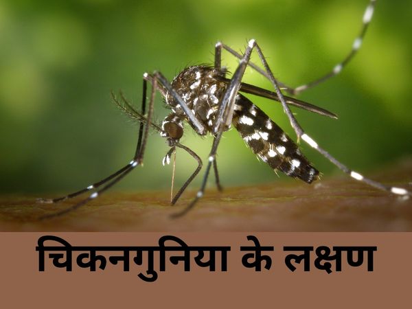 Symptoms of Chikungunya