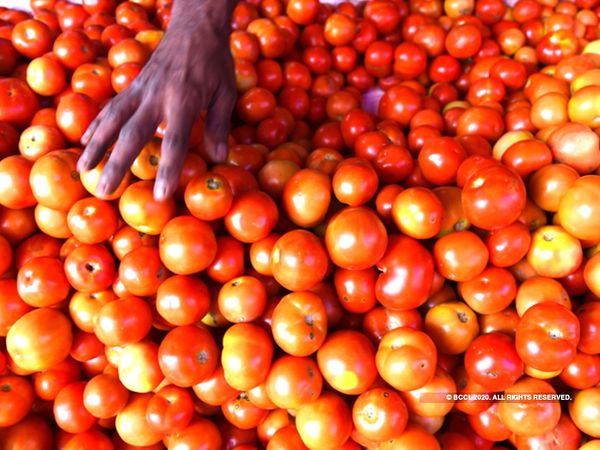 Bought 1 kg tomato for Rs. 580 in Quarantine Center in kanker Chhattisgarh 