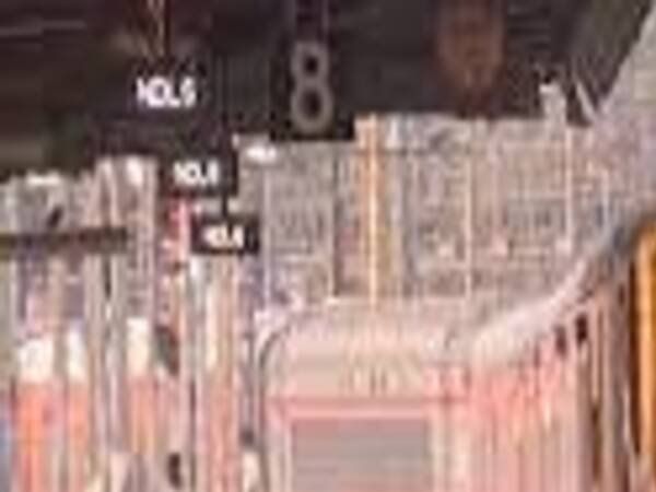 Railways will run special trains in summer