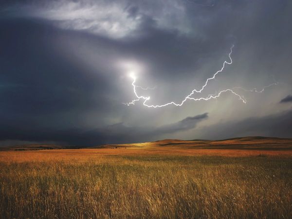 Five people caught in the thunderstorm