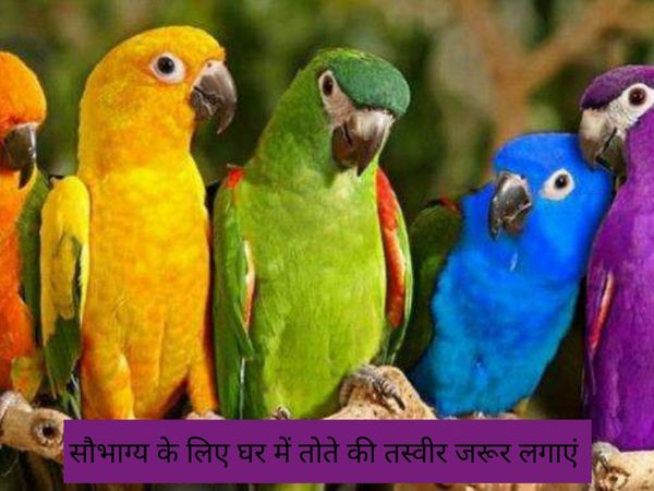 Vastu measures on new year, नए साल पर करें वास्तु के ये उपाय