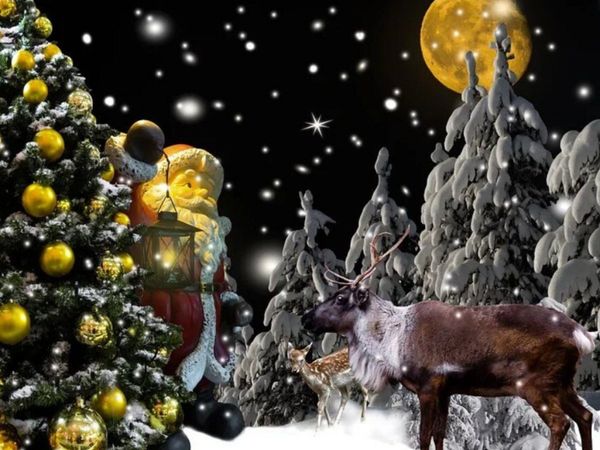 CHRISTMAS UNKNOWN FACTS, क्रिसमस से जुड़े अनसुने रोचक तथ्य