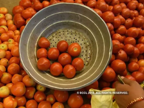 Tomato Price in Pakistan