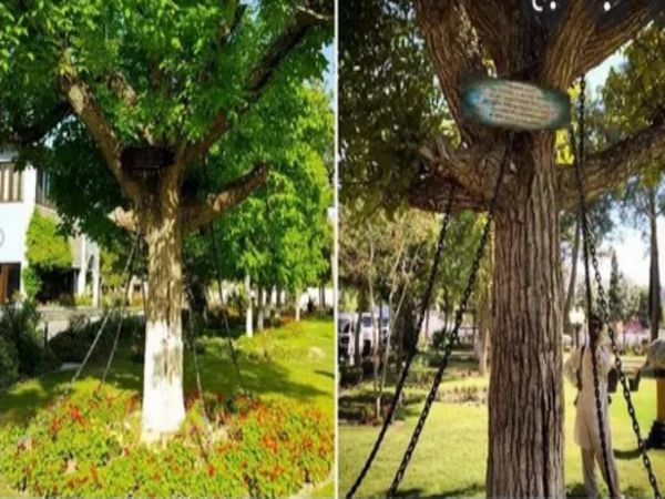 Pakistani Tree Which Arrested by Drunk British Ruler In 1898 Know About Shocking Truth