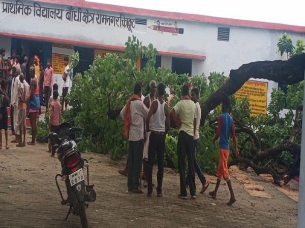 Trees Falling In Government School