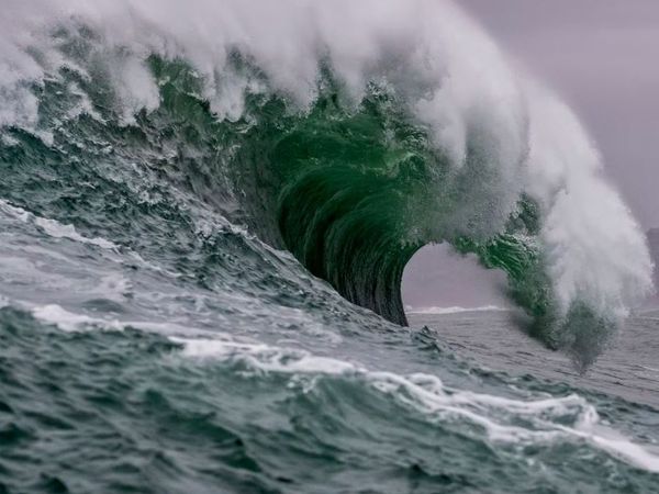 Photo For Representation