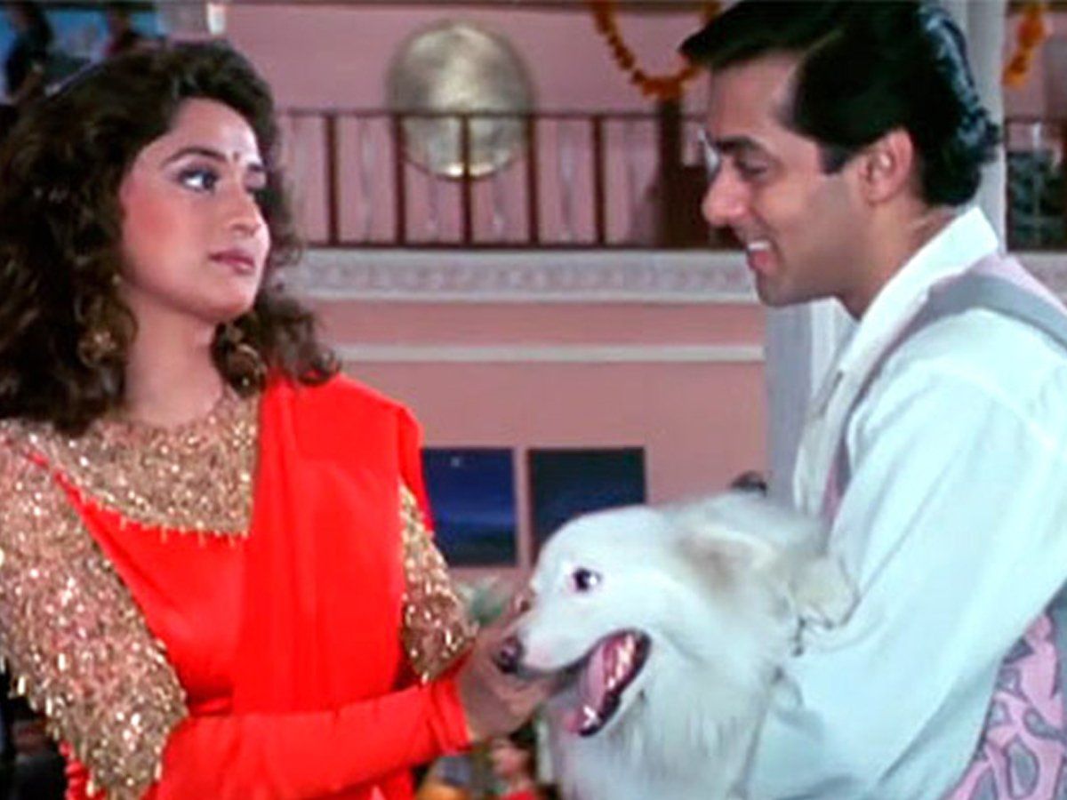 International Dog Day 2022: From Tuffy to Entertainment; 5 Dogs That Stole  the Limelight in Bollywood Movies - News18